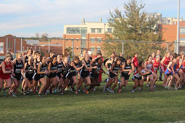 Cross Country meet Oct. 21 at Shaw Park (Photo Gallery)