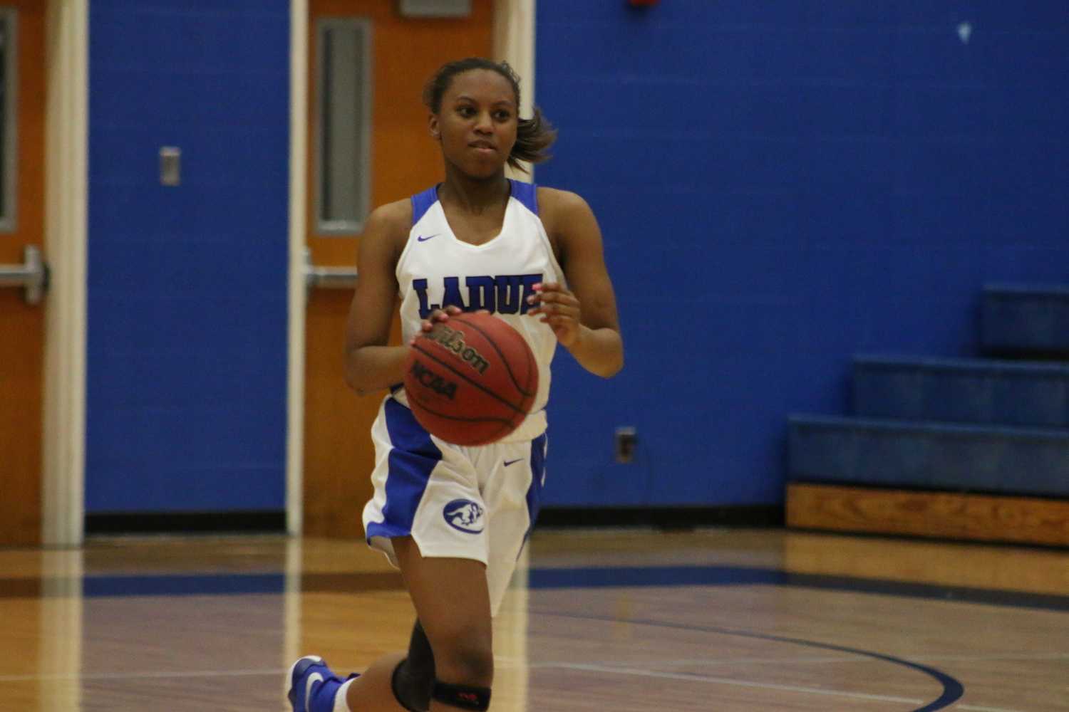 Girls Basketball vs Fox (Photo Gallery)