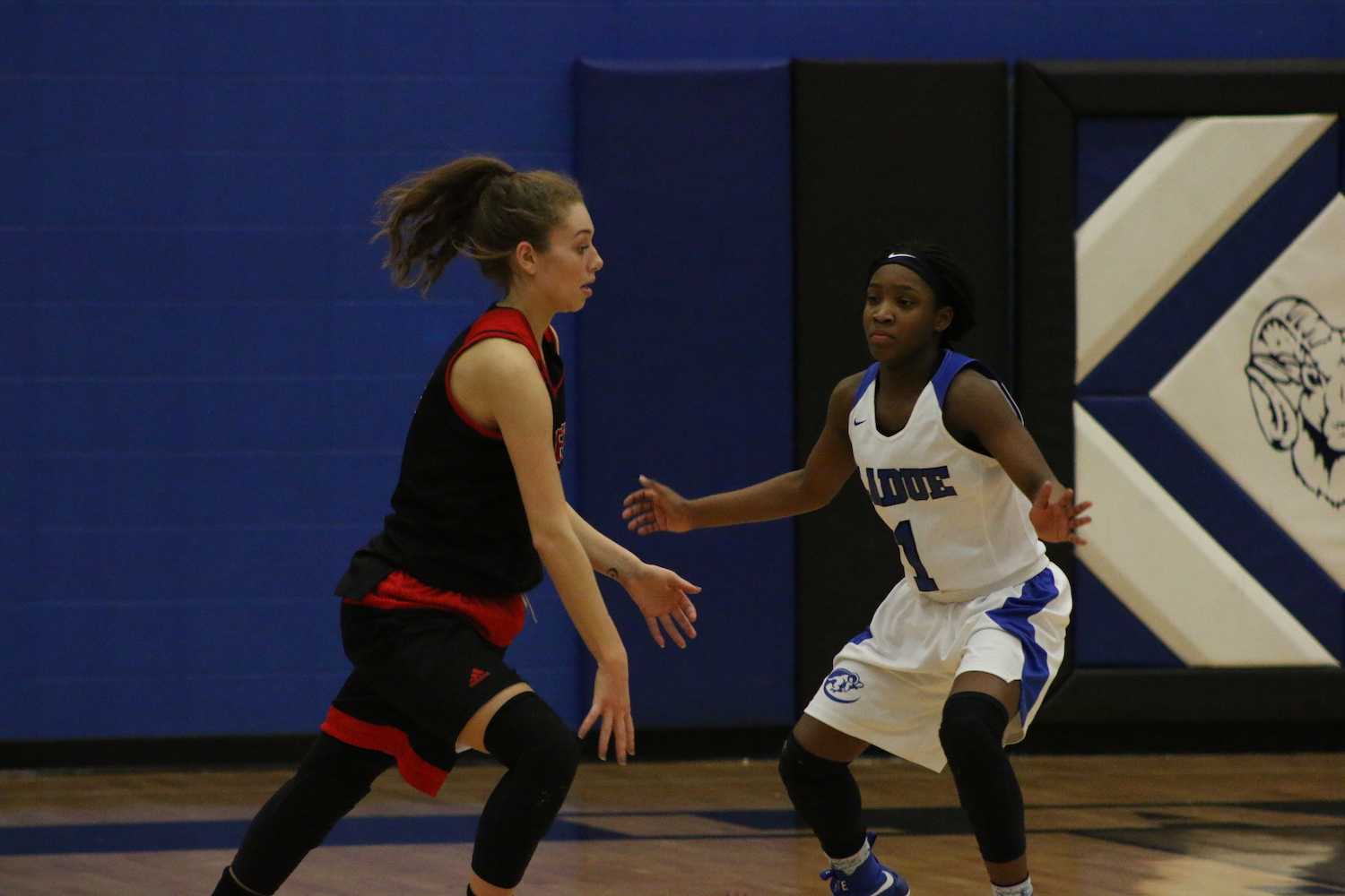 Girls Basketball vs Fox (Photo Gallery)