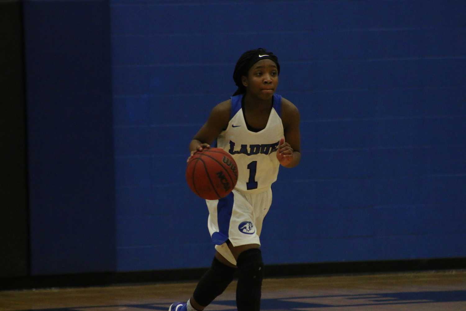 Girls Basketball vs Fox (Photo Gallery)