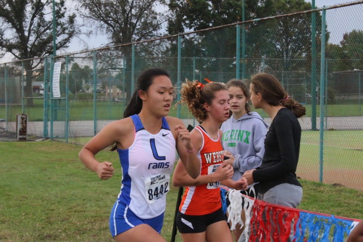 Photo Gallery: Girls Cross Country districts