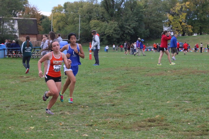 Photo Gallery: Girls Cross Country districts