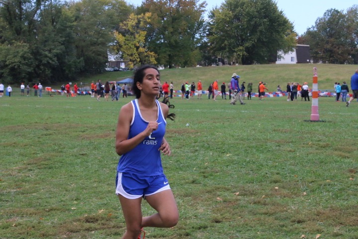 Photo Gallery: Girls Cross Country districts