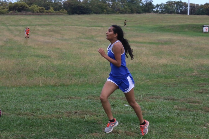 Photo Gallery: Girls Cross Country districts