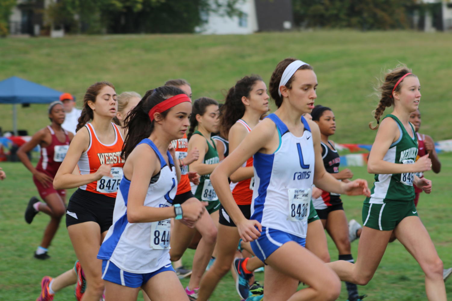 Photo Gallery: Girls Cross Country districts