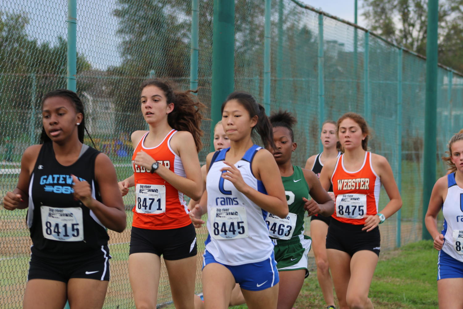 Photo Gallery: Girls Cross Country districts