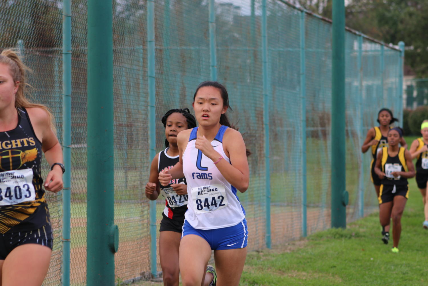 Photo Gallery: Girls Cross Country districts