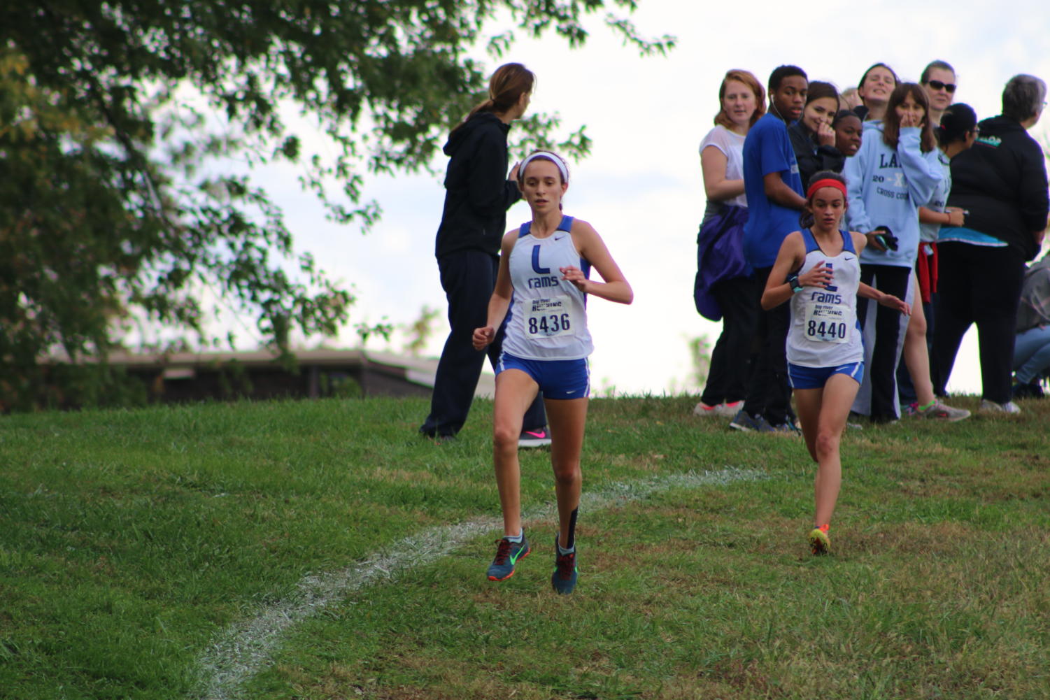 Photo Gallery: Girls Cross Country districts