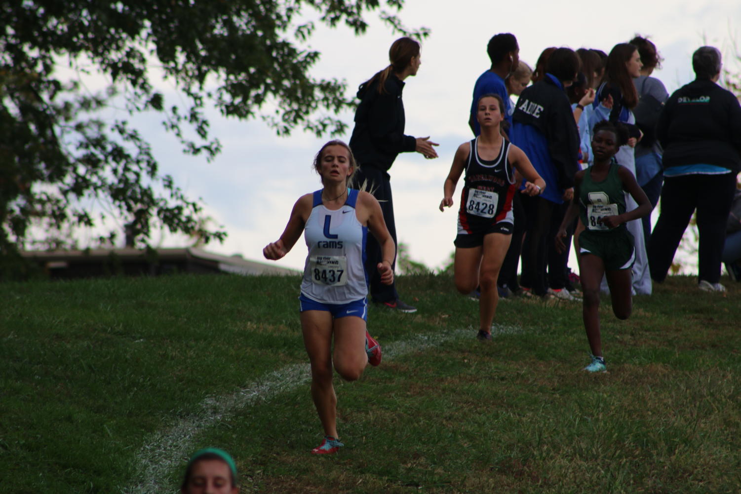 Photo Gallery: Girls Cross Country districts