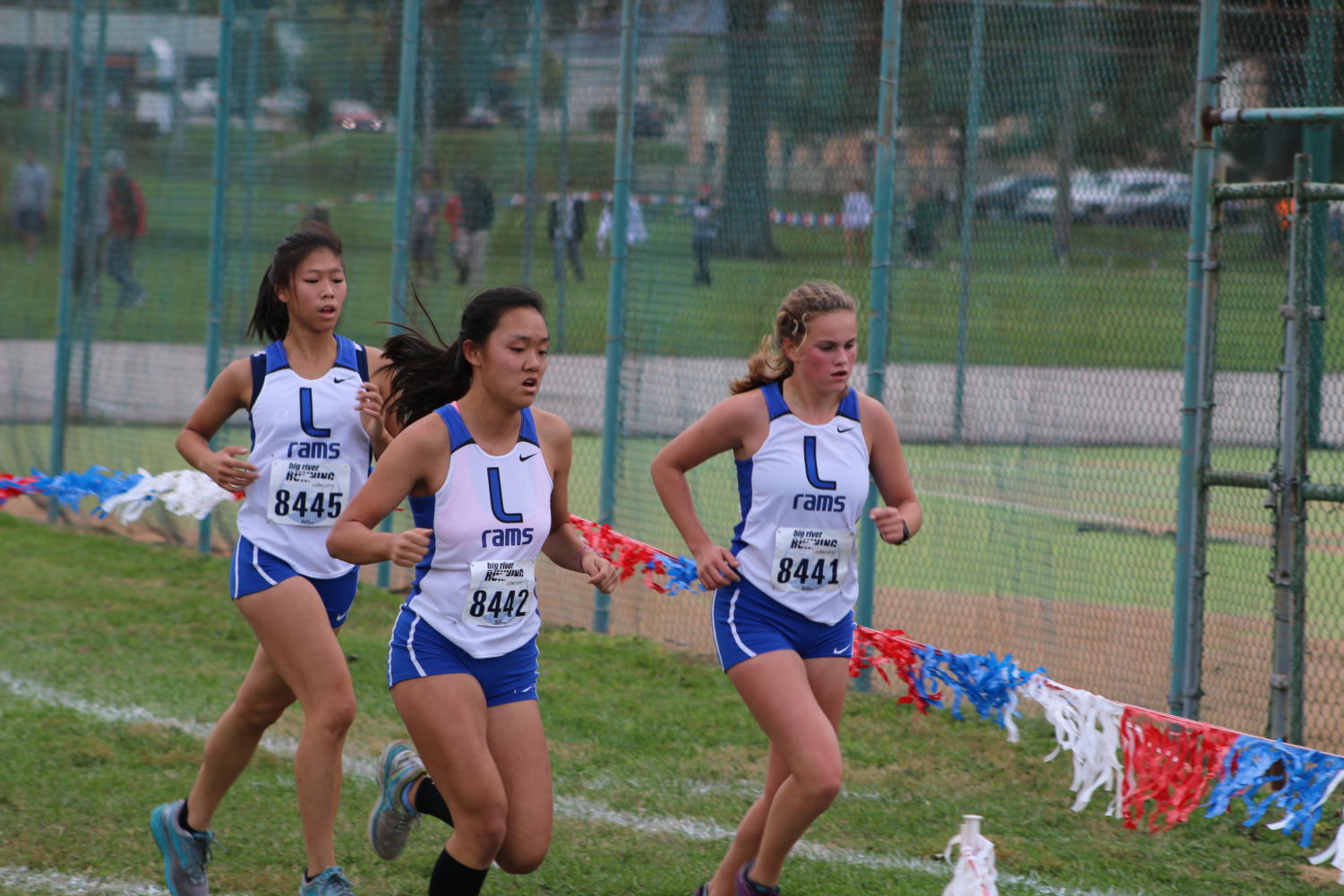 Photo Gallery: Girls Cross Country districts