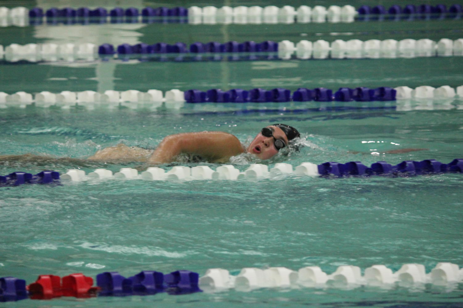 Girls Swim and Dive Team Hosts Ucity