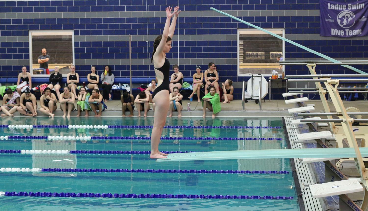 Photo Gallery: Ladue vs Parkway Central (Girls Swimming)