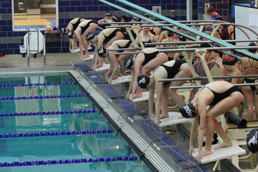 On January 9th, Ladue hosted Parkway Central for a home swim meet.
