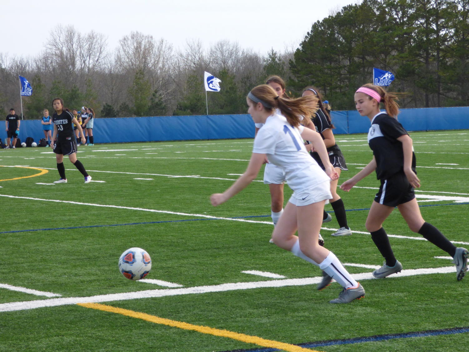 4/11 Girls JV Soccer vs. Webster Groves High School