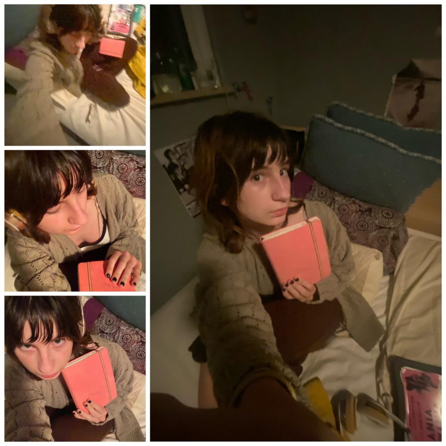 Sydney and THE pink journal