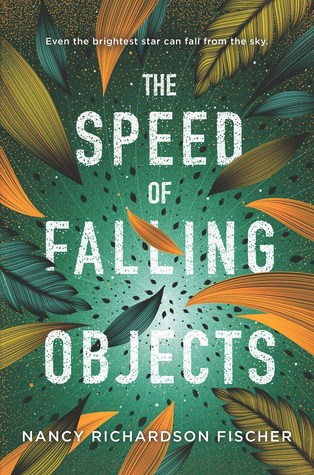 The Speed of Falling Objects by Nan Fischer