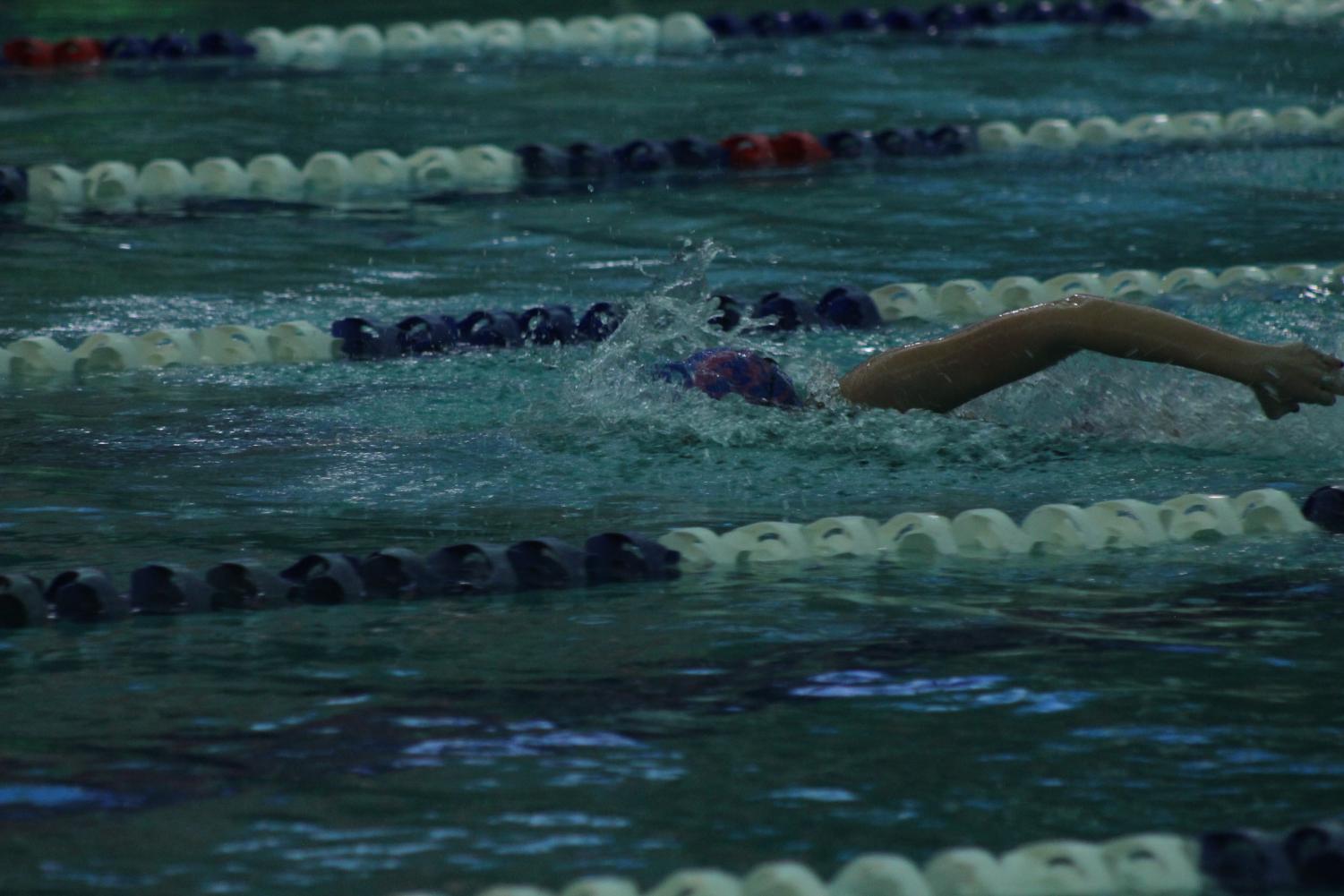 11/29 Girls Swim and Dive vs MICDS