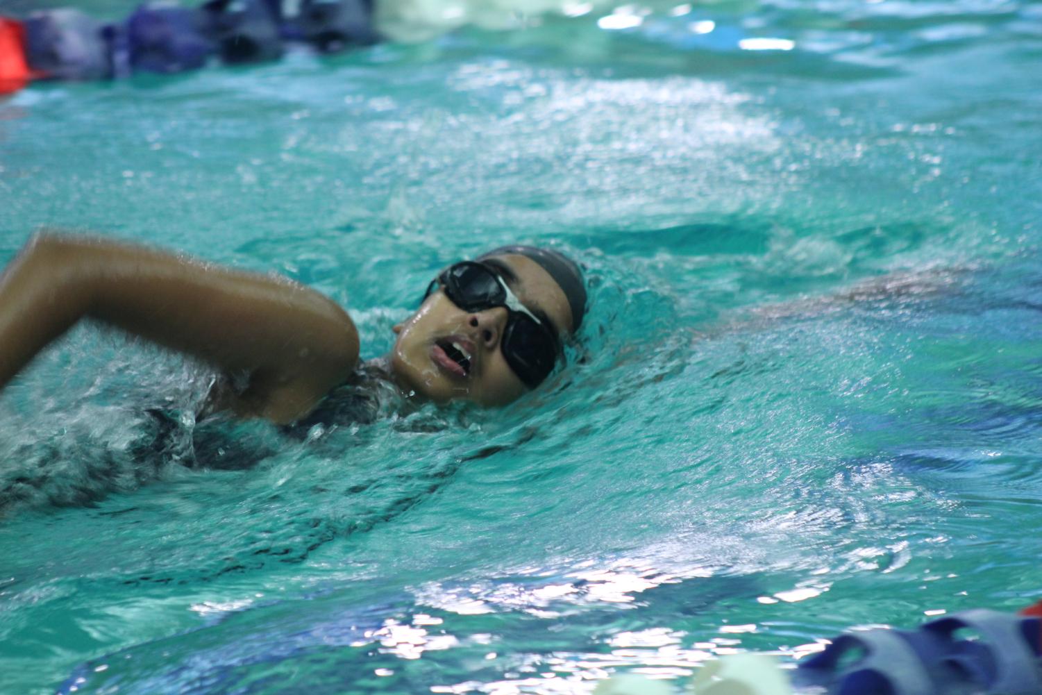 11/28 Girls Swimming Blue White Meet