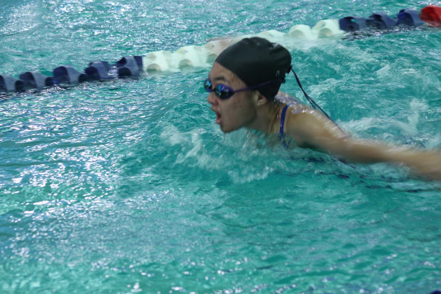 11/28 Girls Swimming Blue White Meet