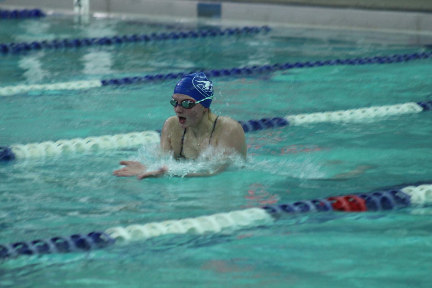 11/28 Girls Swimming Blue White Meet