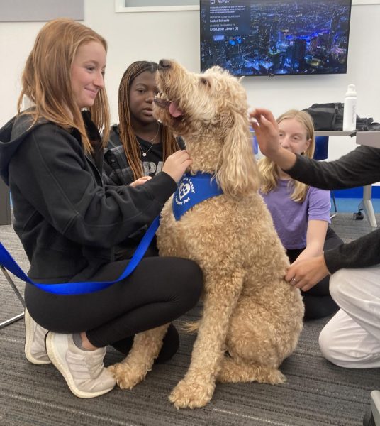 Allie Glidewell (10) pets Jax, a goldendoodle, during his visit Sept. 7. He was in therapy dog training for two years and still attends weekly classes to practice his skills. “We thought that [therapy dogs] sounded like a really cool opportunity that students would enjoy,” librarian Jennifer Tuttle said.