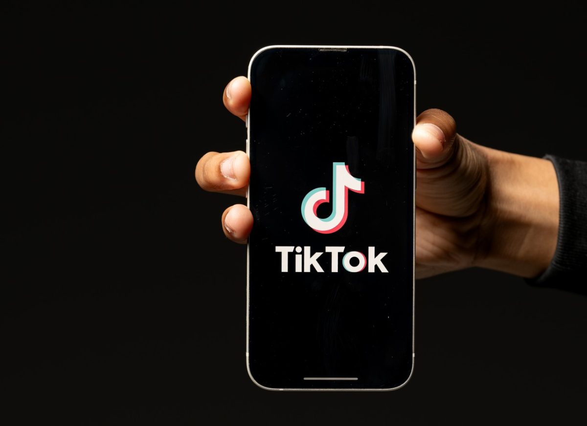 As politicians try to crush TikTok, will it survive?