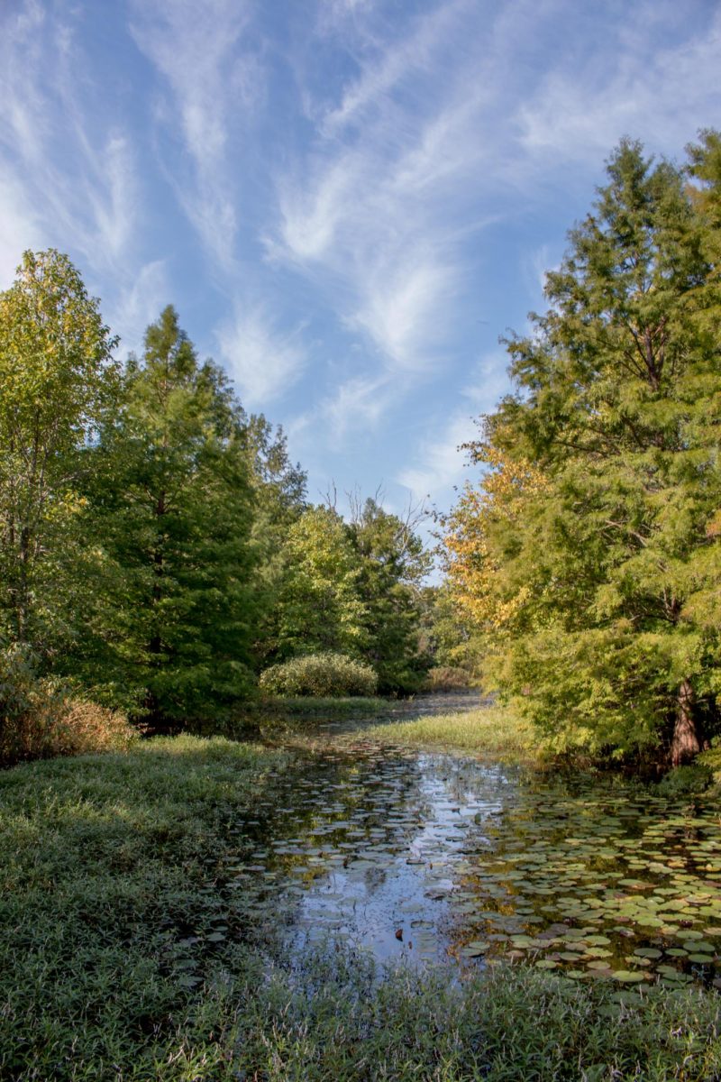 Robin Powell: Photos Courtesy of Missouri Botanical Garden