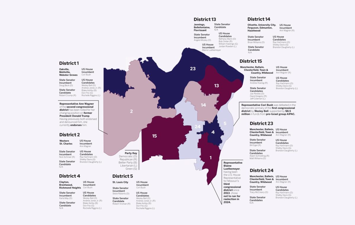 Local Election Map