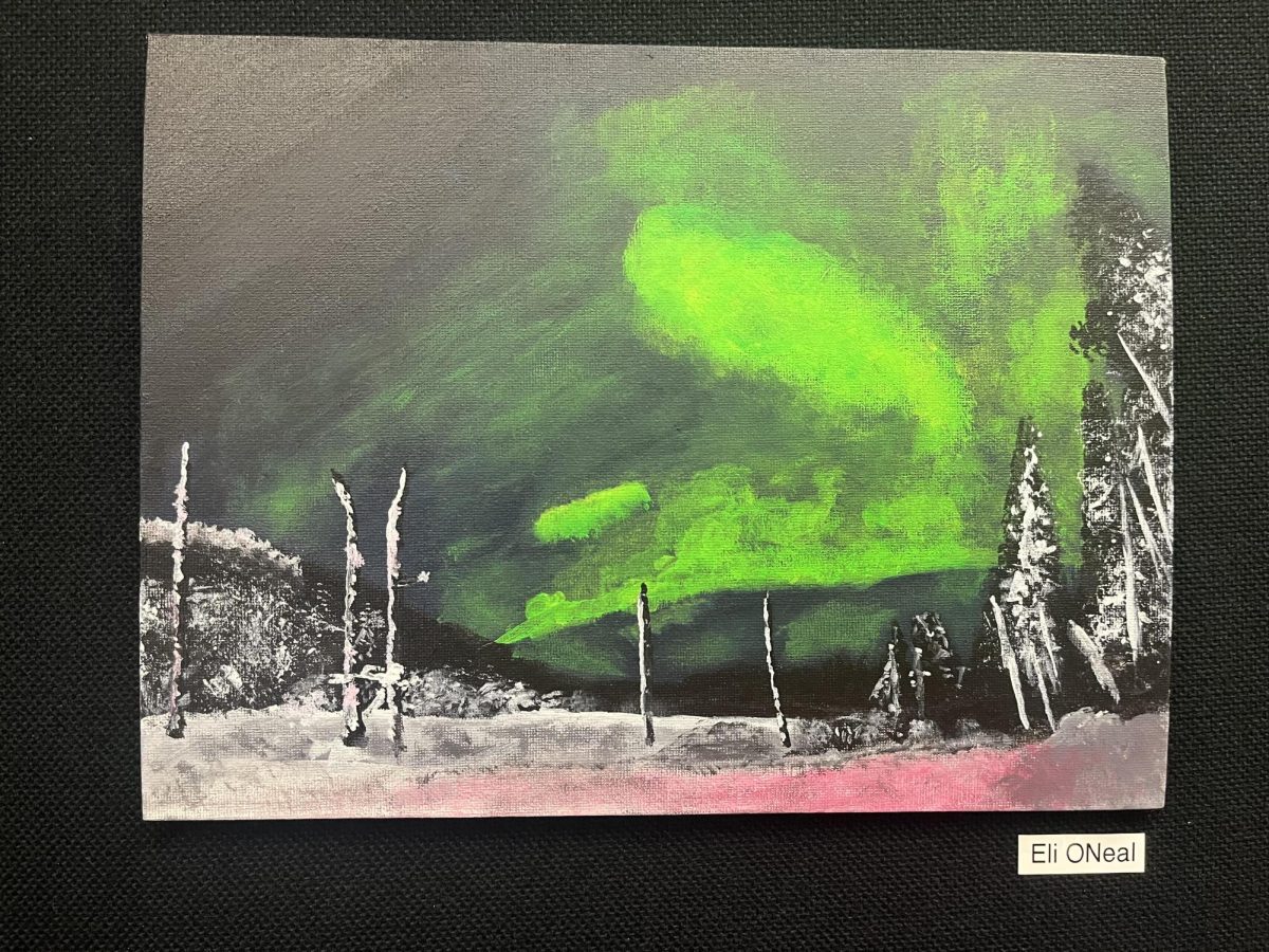 Painting by Eli ONeal (12) depicting a white forest with a green sky. 