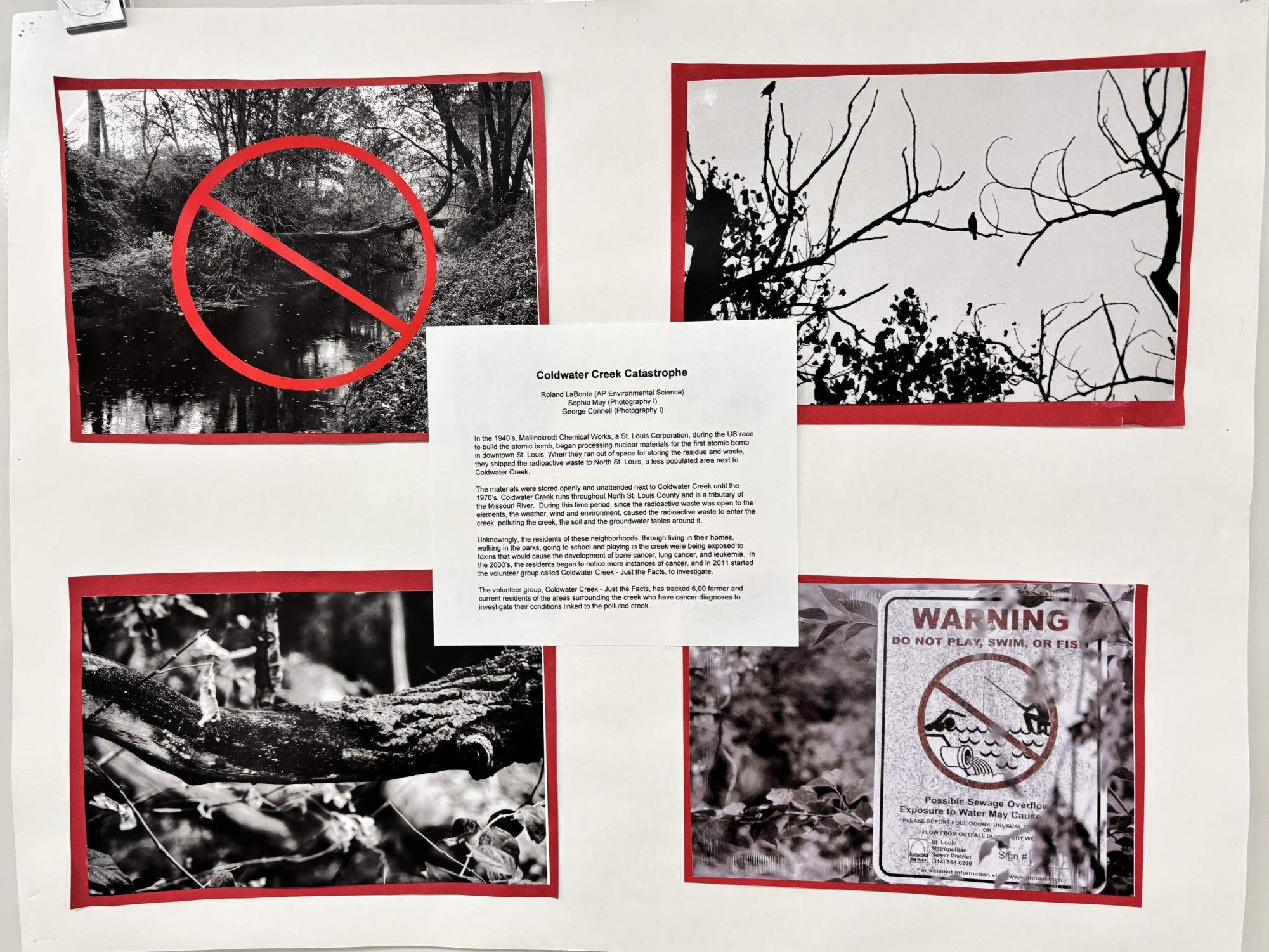 Environmental Activism Initiative in Photography Classes