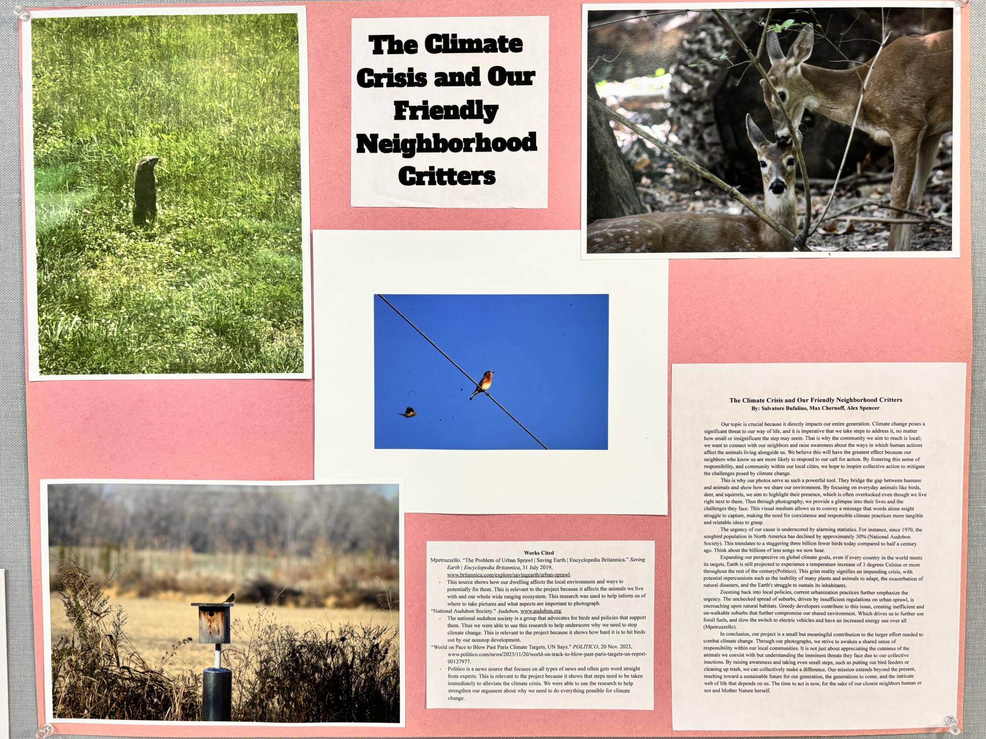 Environmental Activism Initiative in Photography Classes