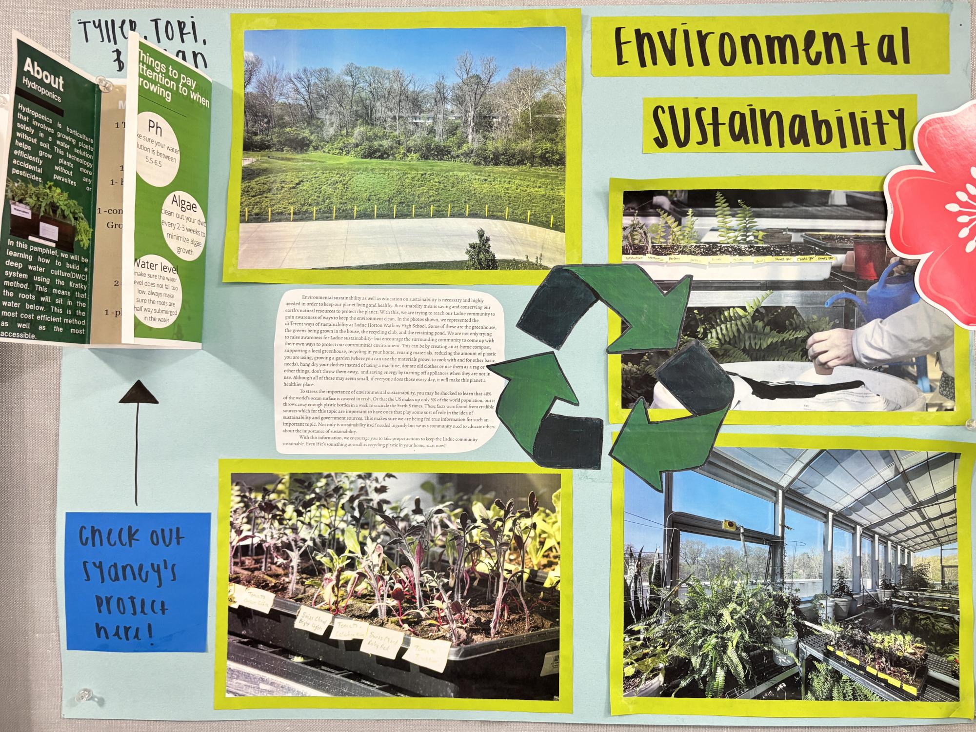 Environmental Activism Initiative in Photography Classes